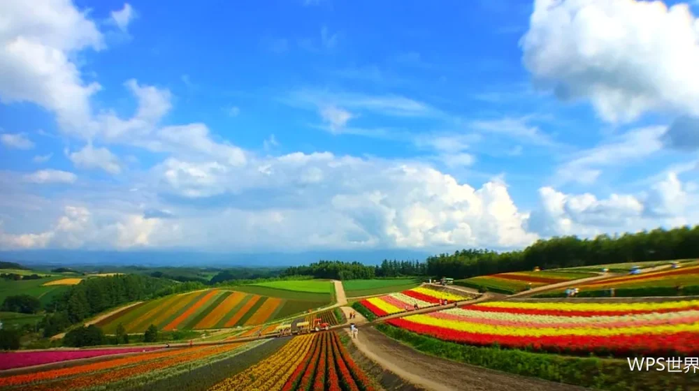 图片插入基础:三种方式各有场景