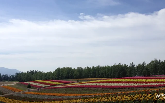 字体字号与排列：让文字看着舒服